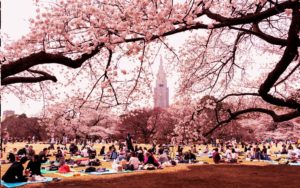 Hanami