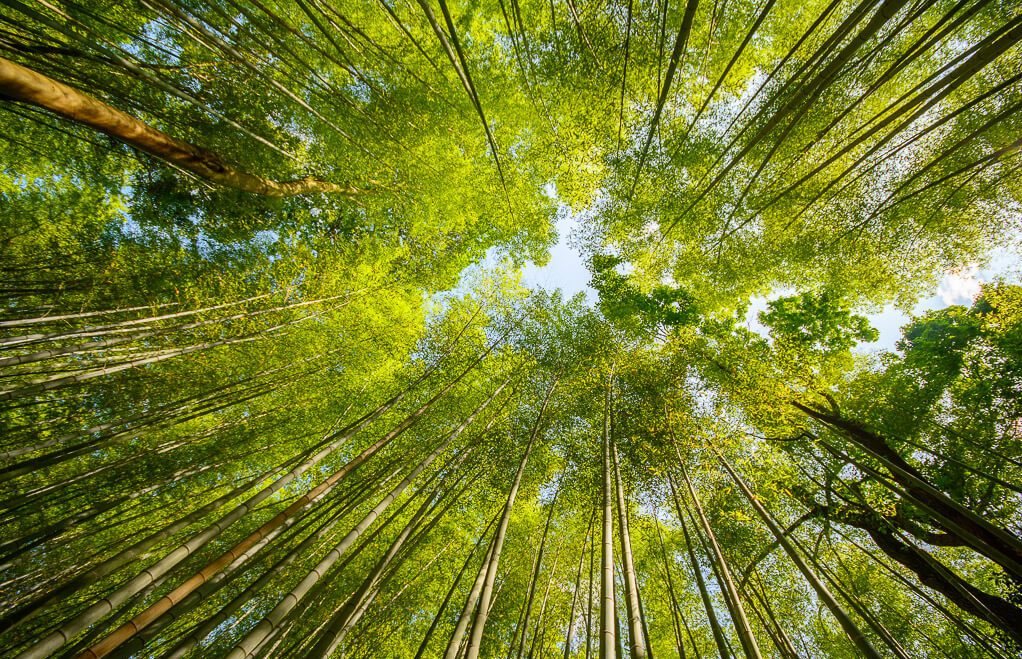 Arashiyama