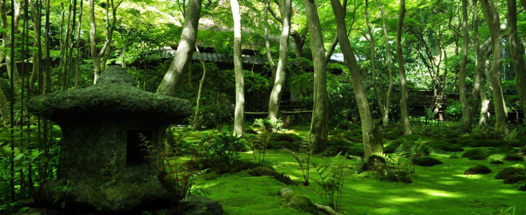 Arashiyama