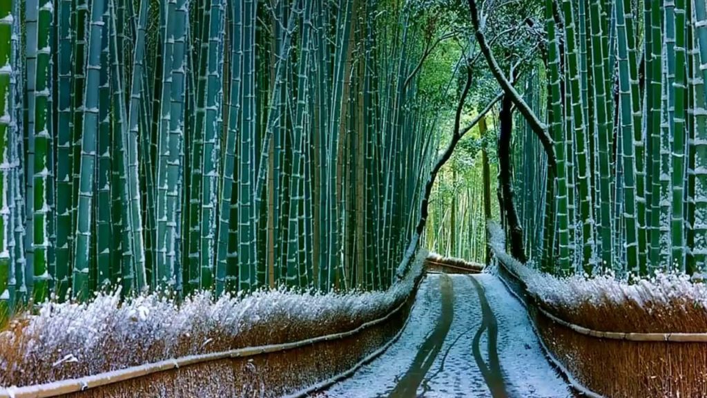 Arashiyama