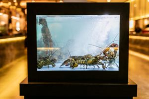 168 Chinese Township