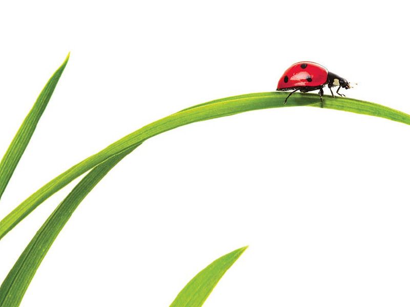 L'infinitamente poco