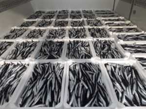 Degustazione Ristoro e Dispensa