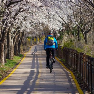 pista ciclabile la più lunga d