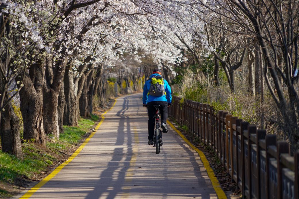 pista ciclabile la più lunga d