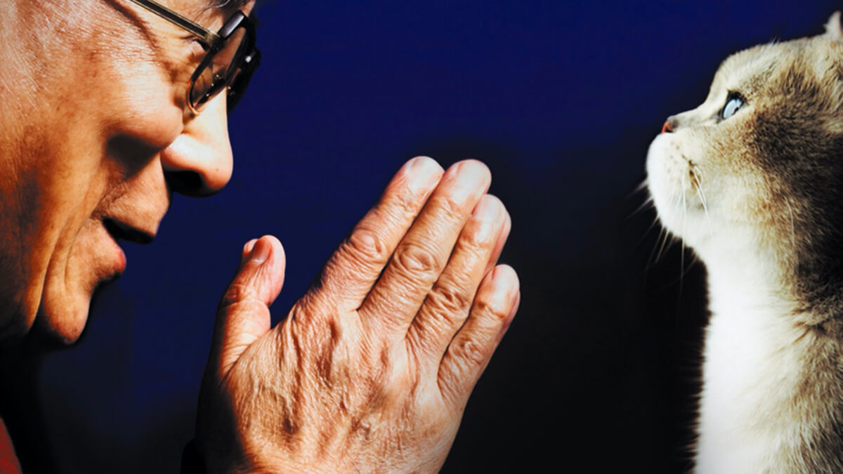 Il gatto del Dalai Lama e l’arte di fare le fusa