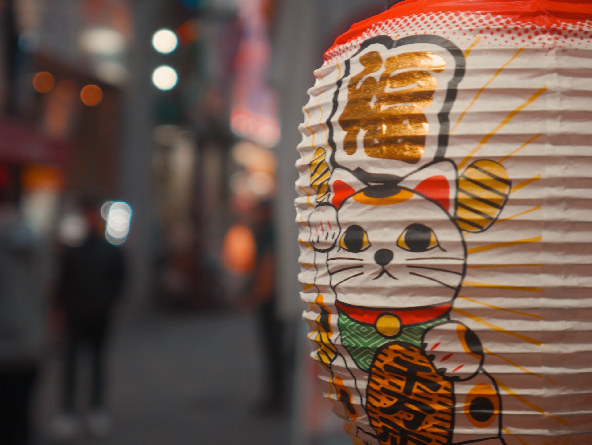 Perché i giapponesi amano i gatti