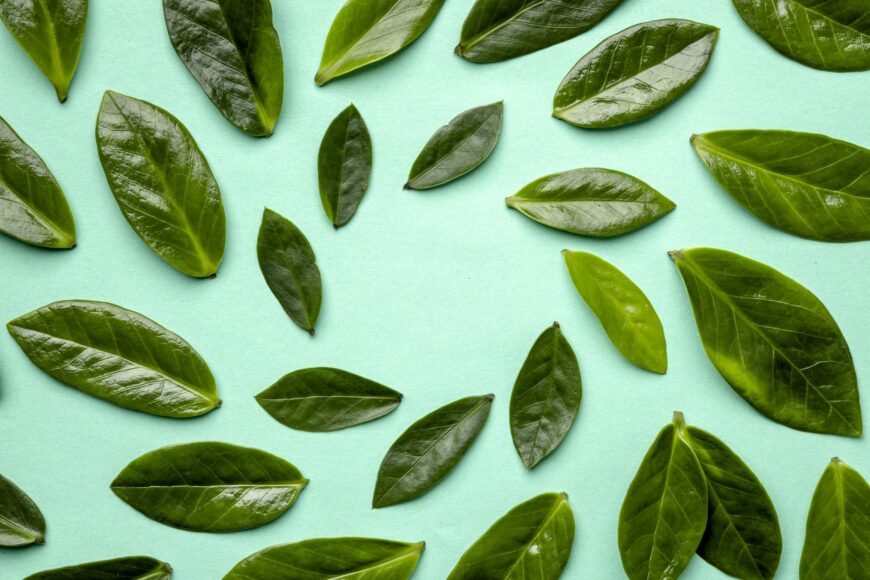 3 benefici del tè verde