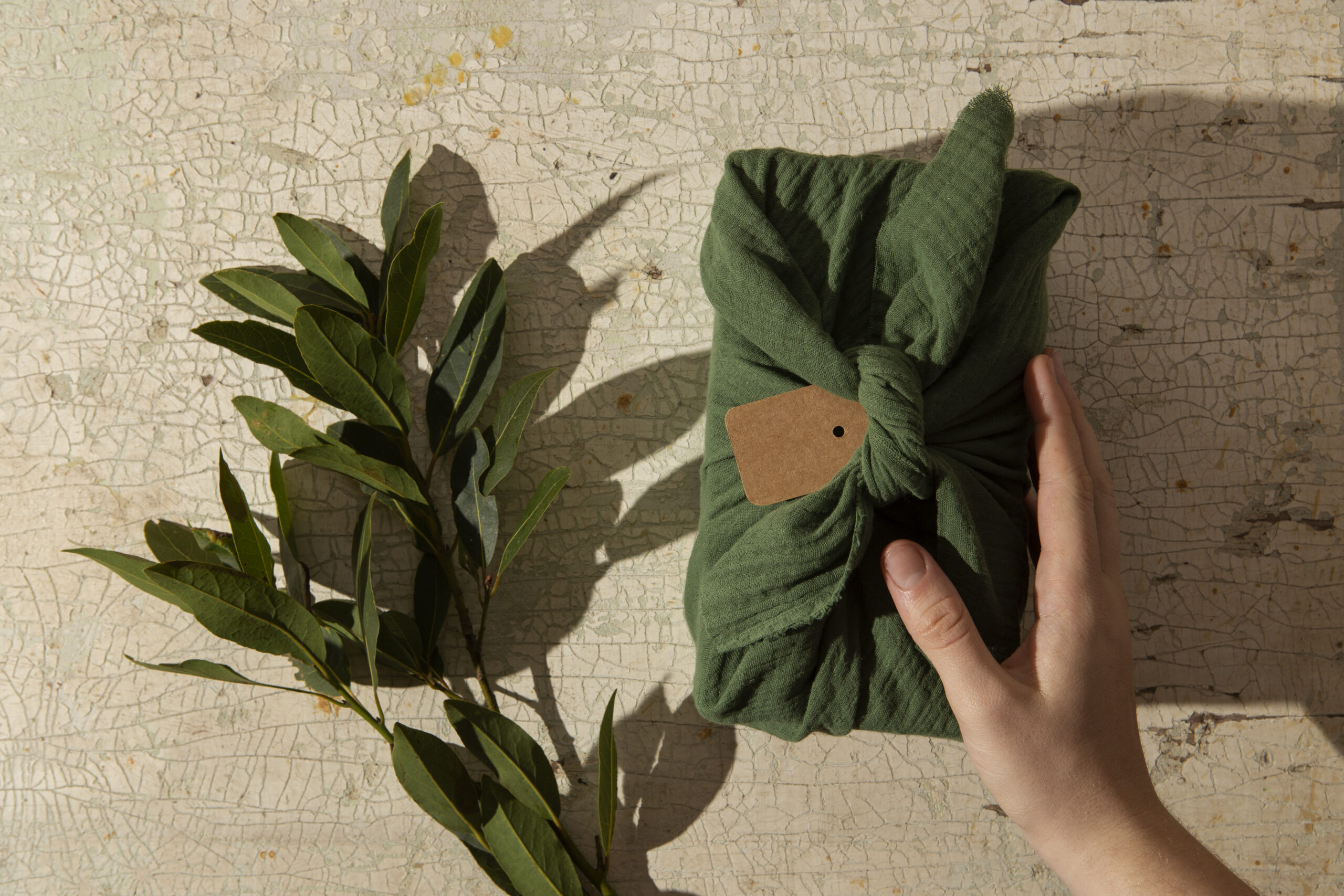 Sustainable Brands contro il Fast Fashion