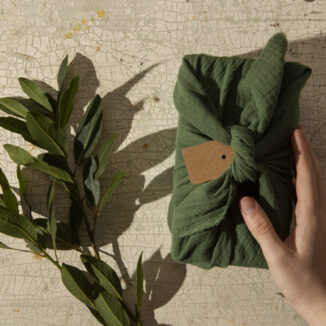 sustainable brands