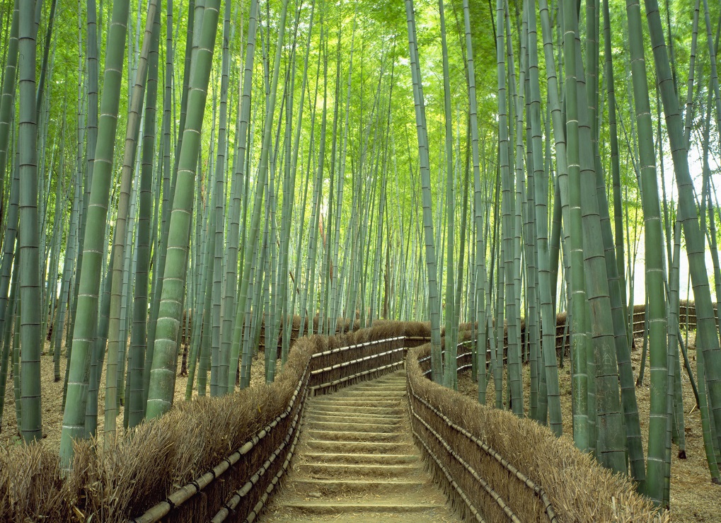 Kyoto